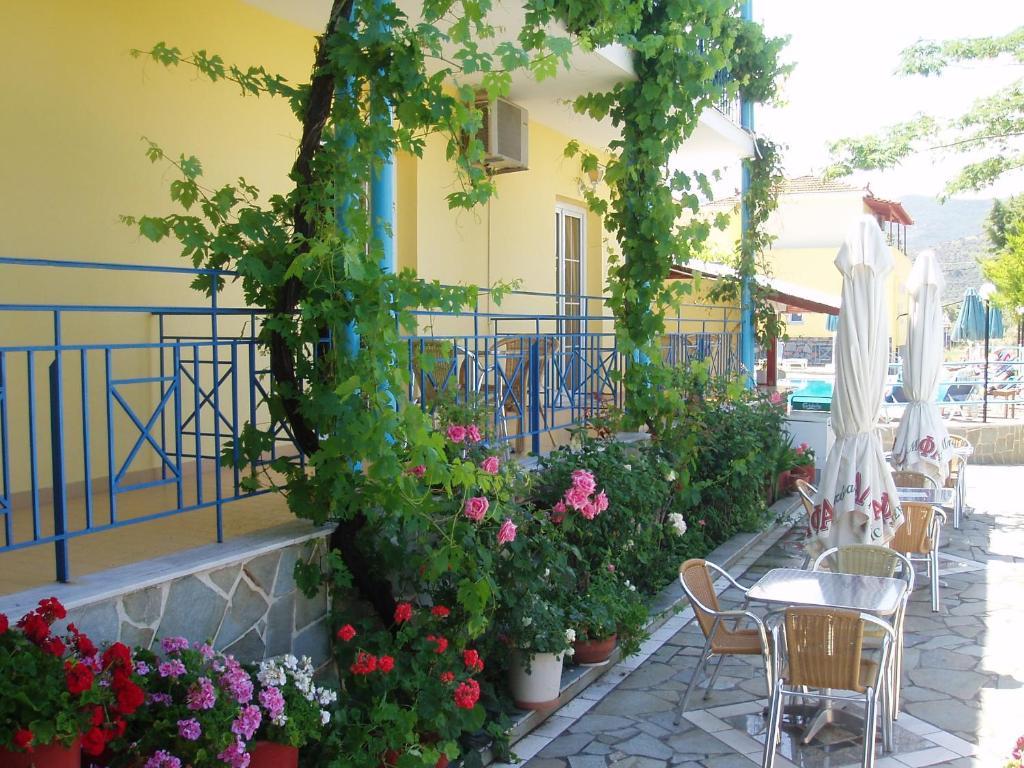 Anaxos Hotel Номер фото